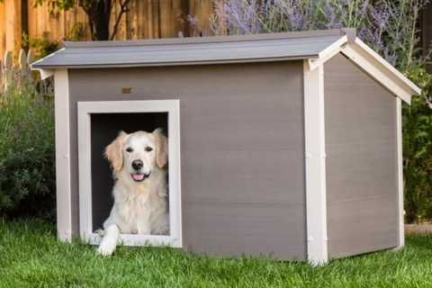 5 Best Heated Doghouses of 2022