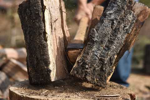 Homeowner’s Guide To Firewood