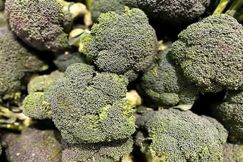 How To Grow Broccoli in Your Garden