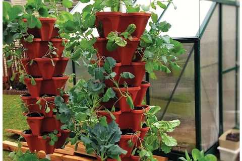 10 Best Vertical Garden Planters