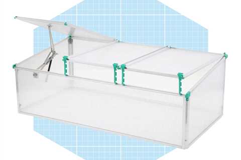 8 Best Cold Frame Greenhouses