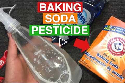 Baking Soda as Pesticide | Powerful Organic Pesticide | Baking Soda in the Garden