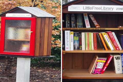 11 Little Free Libraries Built by Family Handyman Readers