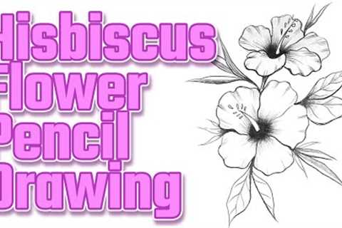 How to Draw Hibiscus Flower