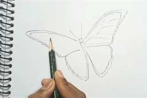How to Drow Realistic Butterfly🦋 easy step bye step
