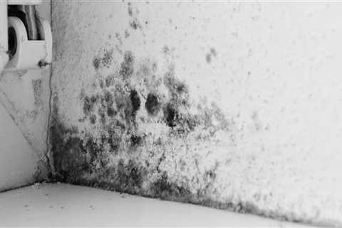 Is mold hard to get rid of?