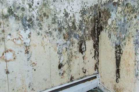 Where to report mold problems?