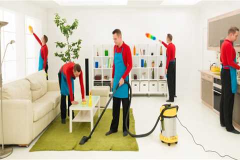 What is domestic cleaning services?