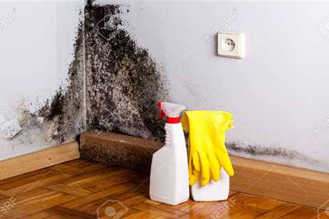 Easy Ways to Get Rid of Mold - SmartLiving - (888) 758-9103