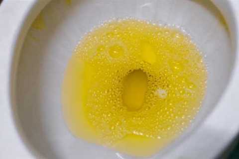 My Toilet Always Smells Like Urine - What Can I do? - SmartLiving - (888) 758-9103