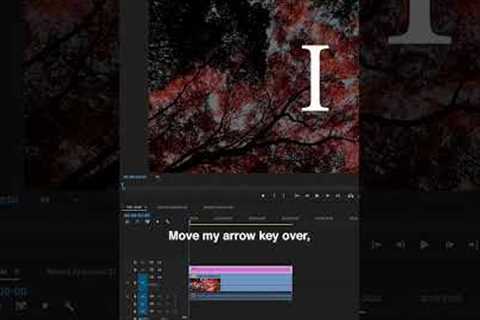 How to WORD by WORD Text Animation Effect in Adobe Premiere Pro CC - Video Editing Tutorial