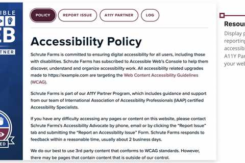 What Is An Example Of Web Accessibility?