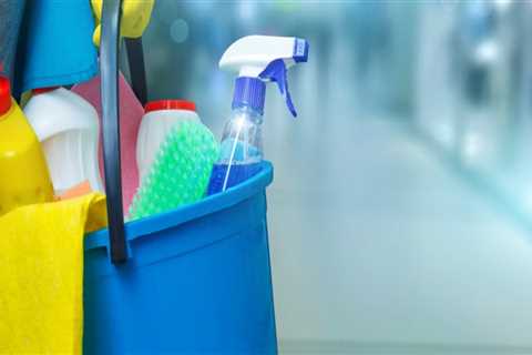 What does basic house cleaning include?