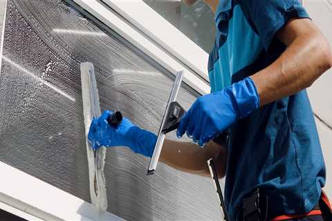 What is the best product for window washing?