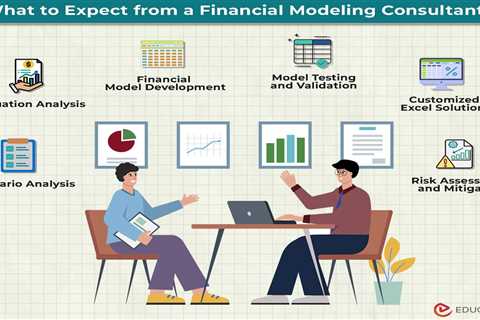 Financial Modeling Consultant