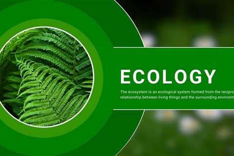 6 Best Ecology Courses For Beginners in 2023
