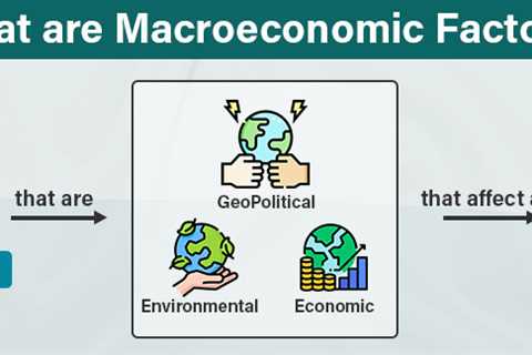 Macroeconomic Factor