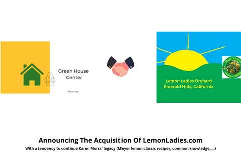 Announcing The Acquisition Of LemonLadies.com