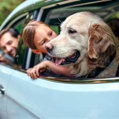 Report Ranks The 10 Best Dog Breeds For Road Trip-Loving Families