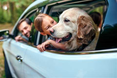 Report Ranks The 10 Best Dog Breeds For Road Trip-Loving Families