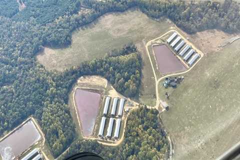 Eco-Friendly and Sustainable Bookstores in Northeastern North Carolina