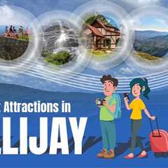 Tourist Attractions in Ellijay