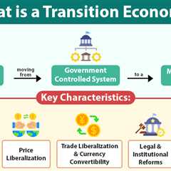 Transition Economy