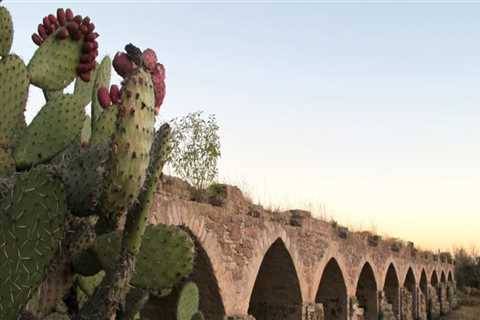 The Truth About Apprenticeships in Fayette County, Georgia