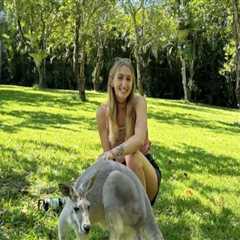 Unlocking the World: International Exchange Programs in Lincoln Park, Michigan