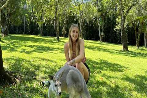 Unlocking the World: International Exchange Programs in Lincoln Park, Michigan