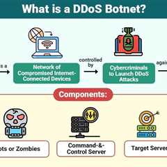 DDoS Botnet