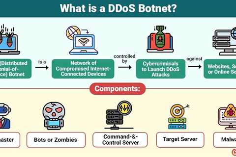 DDoS Botnet
