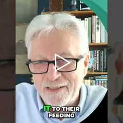 Unlock Your Mood: Brain Chemistry, Food, & Metabolism Secrets! #shorts