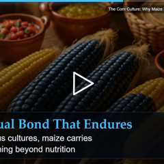 The Corn Culture: Why Maize Still Defines Mexican Wellness